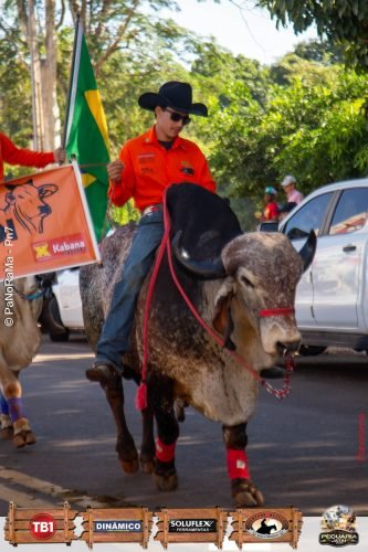 Desfile-de-Cavaleiros-Galeria-01-181
