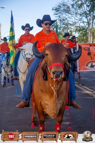 Desfile-de-Cavaleiros-Galeria-01-183