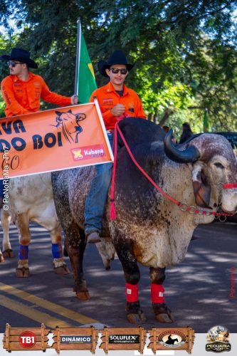 Desfile-de-Cavaleiros-Galeria-01-184