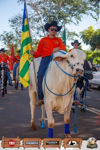 Desfile-de-Cavaleiros-Galeria-01-185