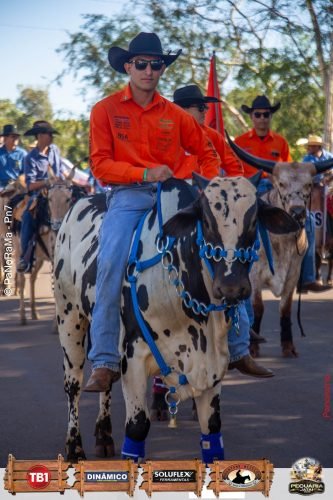 Desfile-de-Cavaleiros-Galeria-01-187