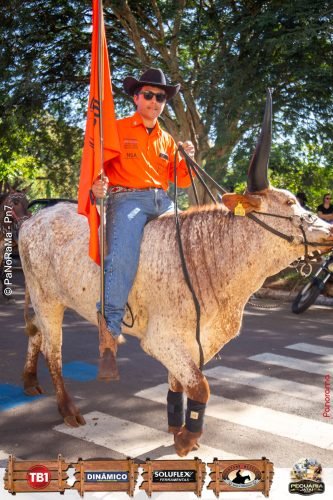 Desfile-de-Cavaleiros-Galeria-01-191
