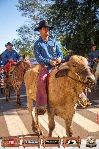 Desfile-de-Cavaleiros-Galeria-01-193