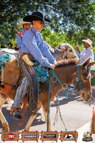 Desfile-de-Cavaleiros-Galeria-01-194