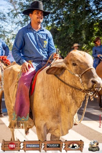Desfile-de-Cavaleiros-Galeria-01-195