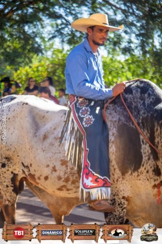 Desfile-de-Cavaleiros-Galeria-01-198