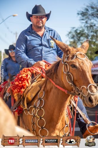 Desfile-de-Cavaleiros-Galeria-01-199