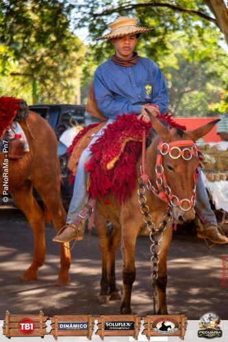 Desfile-de-Cavaleiros-Galeria-01-203