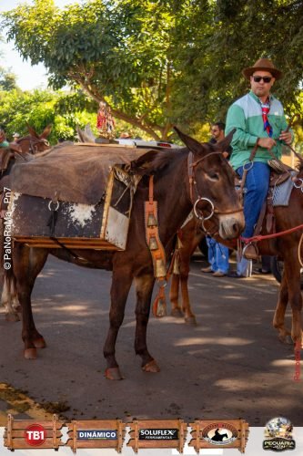 Desfile-de-Cavaleiros-Galeria-01-207