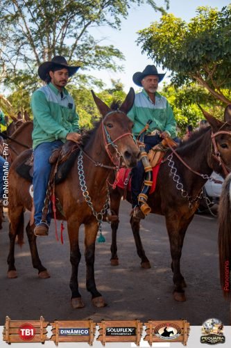 Desfile-de-Cavaleiros-Galeria-01-208