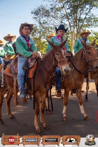 Desfile-de-Cavaleiros-Galeria-01-210