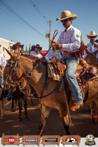 Desfile-de-Cavaleiros-Galeria-01-235