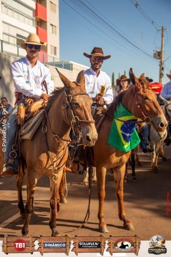 Desfile-de-Cavaleiros-Galeria-01-236