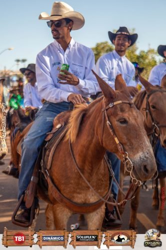 Desfile-de-Cavaleiros-Galeria-01-237