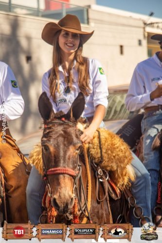 Desfile-de-Cavaleiros-Galeria-01-239