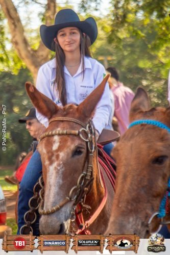 Desfile-de-Cavaleiros-Galeria-01-246