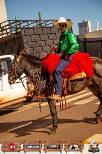 Desfile-de-Cavaleiros-Galeria-01-264
