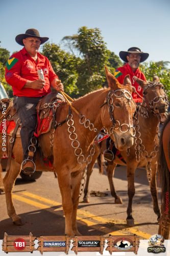 Desfile-de-Cavaleiros-Galeria-01-275