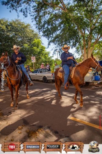 Desfile-de-Cavaleiros-Galeria-01-322