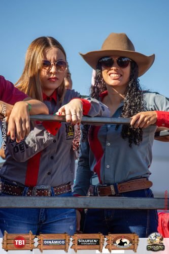 Desfile-de-Cavaleiros-Galeria-01-336