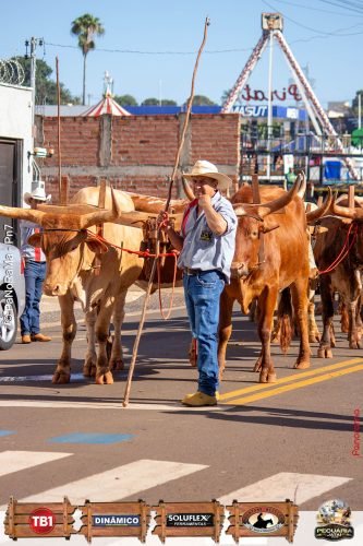 Desfile-de-Cavaleiros-Galeria-01-340