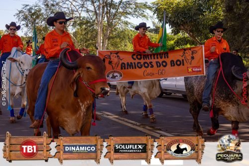 Desfile-de-Cavaleiros-Galeria-01-36