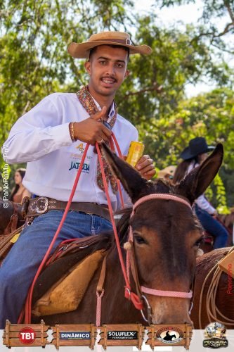 Desfile-de-Cavaleiros-Galeria-01-362