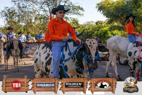 Desfile-de-Cavaleiros-Galeria-01-37