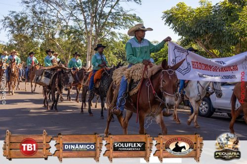 Desfile-de-Cavaleiros-Galeria-01-39
