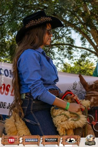 Desfile-de-Cavaleiros-Galeria-01-41