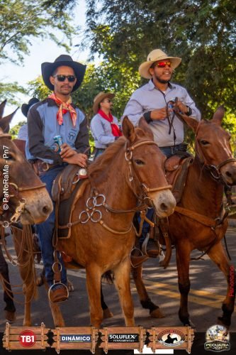 Desfile-de-Cavaleiros-Galeria-02-104