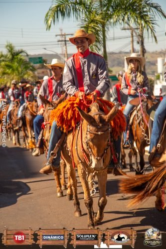 Desfile-de-Cavaleiros-Galeria-02-122