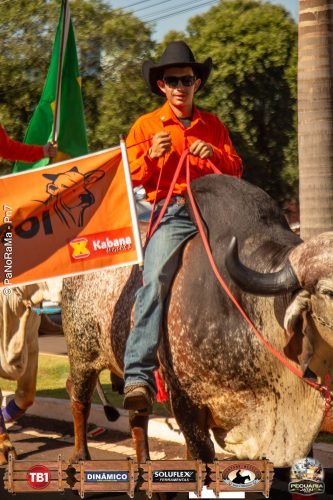 Desfile-de-Cavaleiros-Galeria-02-133