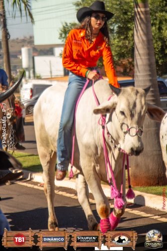 Desfile-de-Cavaleiros-Galeria-02-137
