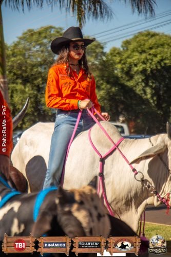 Desfile-de-Cavaleiros-Galeria-02-138