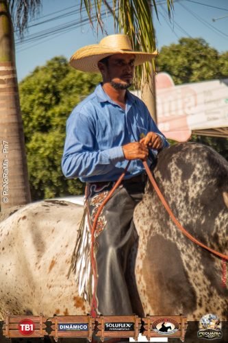 Desfile-de-Cavaleiros-Galeria-02-143