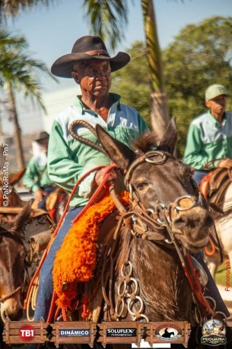 Desfile-de-Cavaleiros-Galeria-02-150