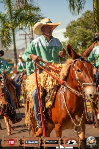 Desfile-de-Cavaleiros-Galeria-02-151