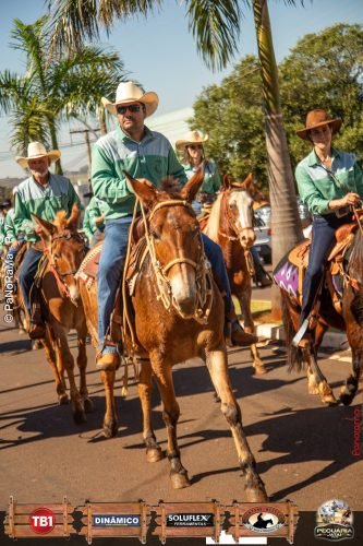 Desfile-de-Cavaleiros-Galeria-02-158