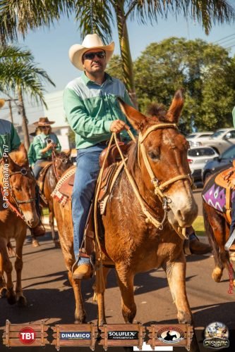 Desfile-de-Cavaleiros-Galeria-02-159