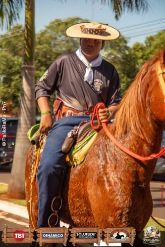Desfile-de-Cavaleiros-Galeria-02-186