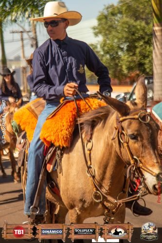 Desfile-de-Cavaleiros-Galeria-02-233
