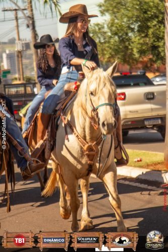 Desfile-de-Cavaleiros-Galeria-02-235