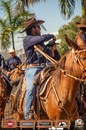 Desfile-de-Cavaleiros-Galeria-02-236