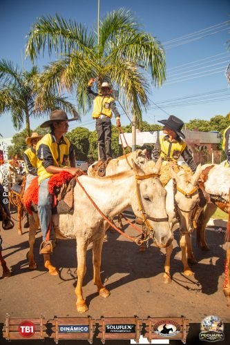 Desfile-de-Cavaleiros-Galeria-02-257