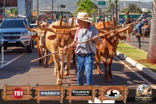 Desfile-de-Cavaleiros-Galeria-02-26