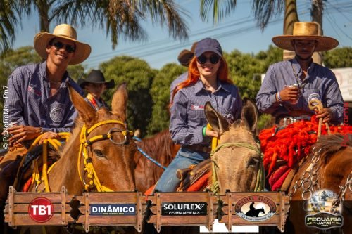 Desfile-de-Cavaleiros-Galeria-02-268