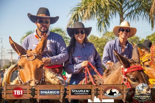 Desfile-de-Cavaleiros-Galeria-02-269