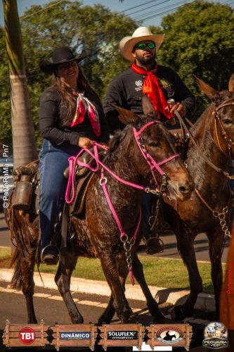 Desfile-de-Cavaleiros-Galeria-02-286