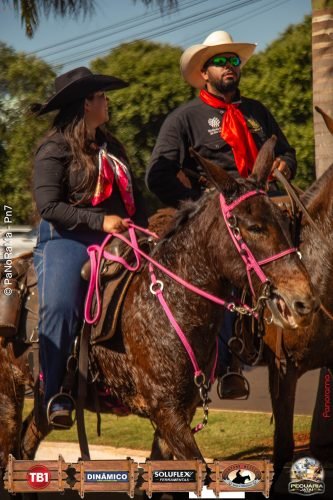 Desfile-de-Cavaleiros-Galeria-02-287
